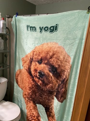 Custom pet blanket / Personalized dog photo blanket / Painted art portrait / Fleece blanket photo review